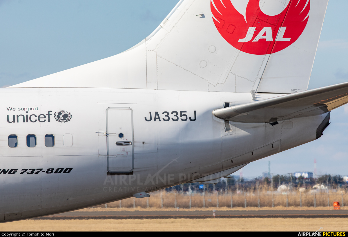 JAL - Japan Airlines JA335J aircraft at Sendai