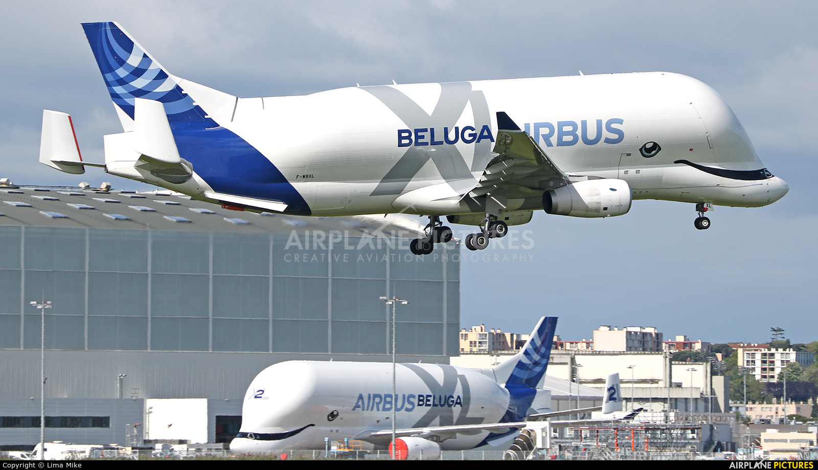 Airbus Transport International F-WBXL aircraft at Toulouse - Blagnac