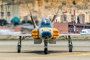 3-7367 - Iran - Islamic Republic Air Force Northrop F-5E Saeghe aircraft