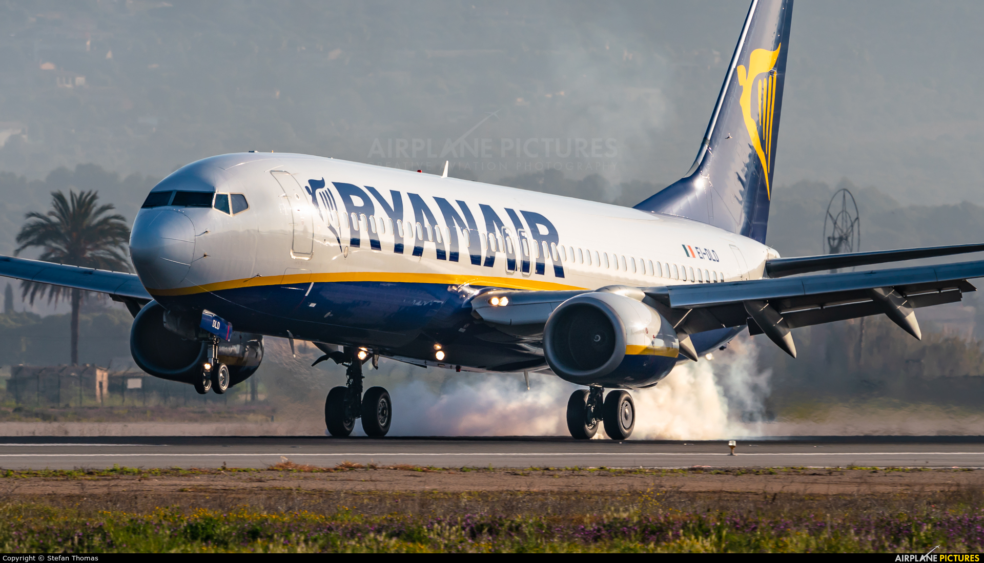Ryanair EI-DLD aircraft at Palma de Mallorca