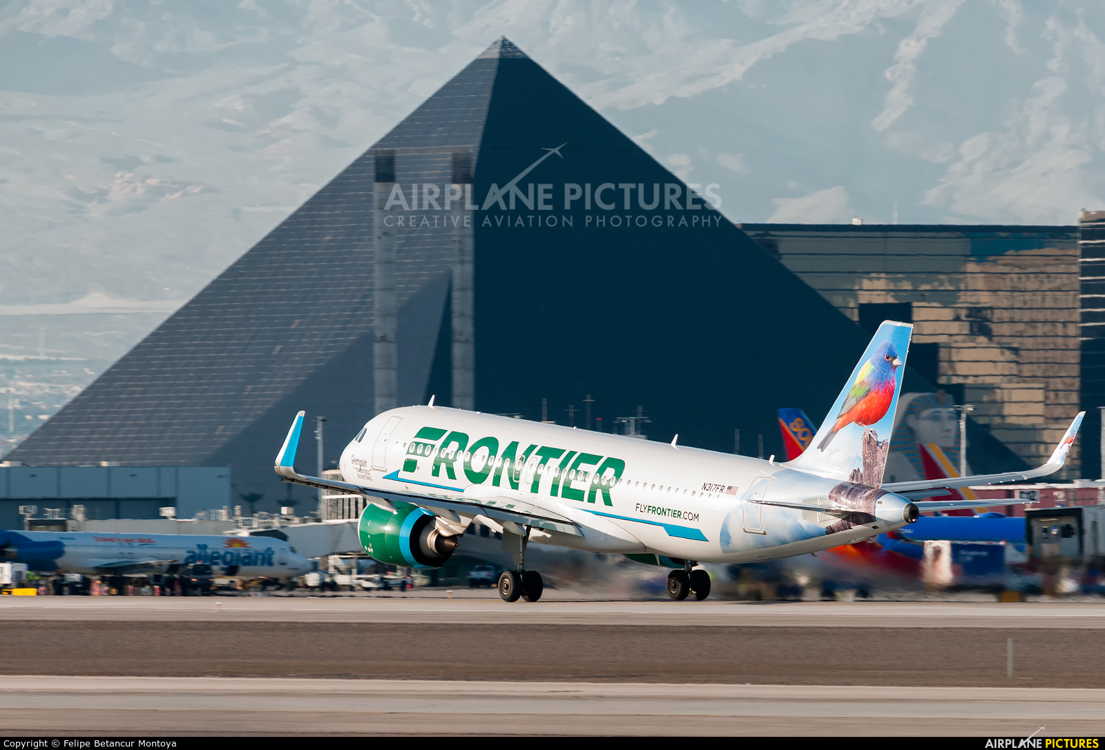Frontier Airlines N317FR aircraft at Las Vegas - McCarran Intl