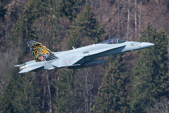 J-5011 - Switzerland - Air Force McDonnell Douglas F-18C Hornet