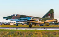 01 - Russia - Air Force Sukhoi Su-25SM3 aircraft