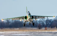 51 - Russia - Air Force Sukhoi Su-25UB aircraft