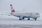 Austrian Airlines/Arrows/Tyrolean OE-LBV image