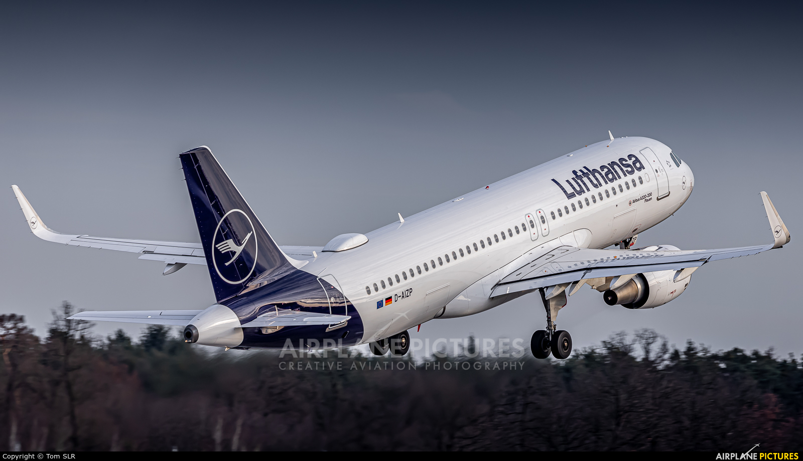 Lufthansa D-AIZP aircraft at Frankfurt