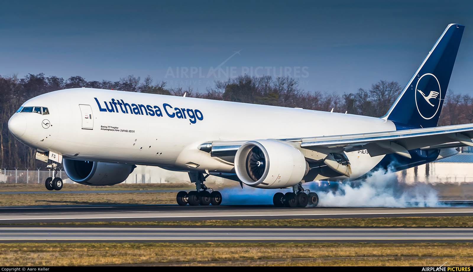 Lufthansa Cargo D-ALFG aircraft at Frankfurt