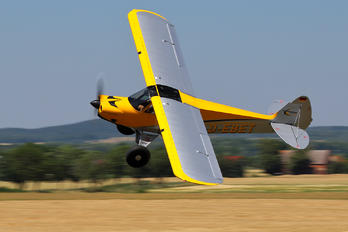 D-EBET - Private Cub Crafters Carbon Cub SS