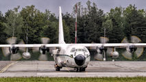 7T-WHP - Algeria - Air Force Lockheed C-130H Hercules aircraft