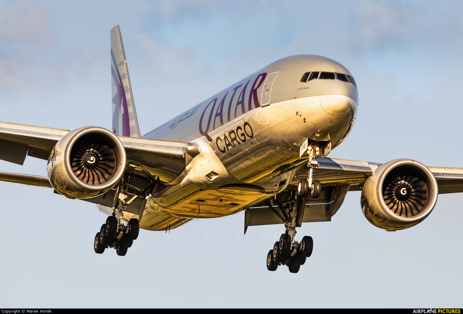 Qatar Airways Cargo A6-BFD aircraft at Amsterdam - Schiphol