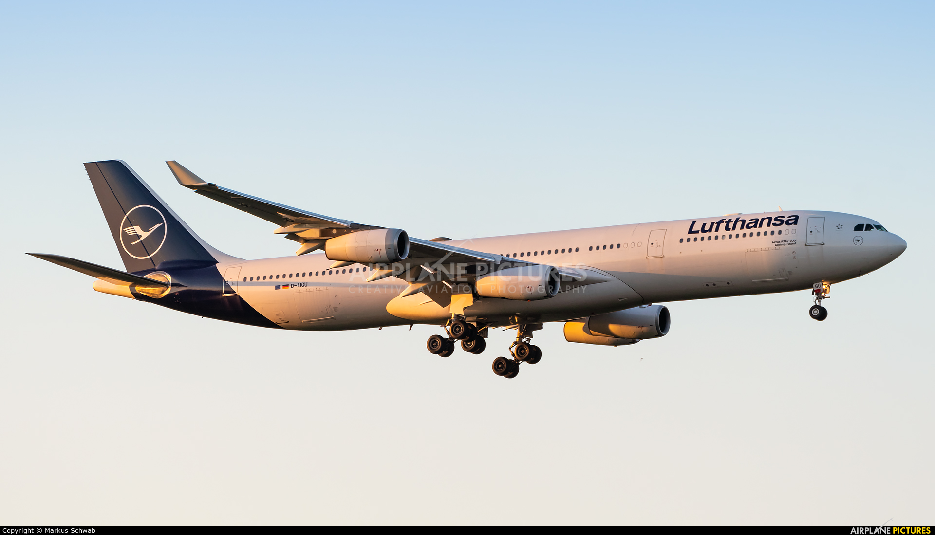 Lufthansa D-AIGY aircraft at Frankfurt