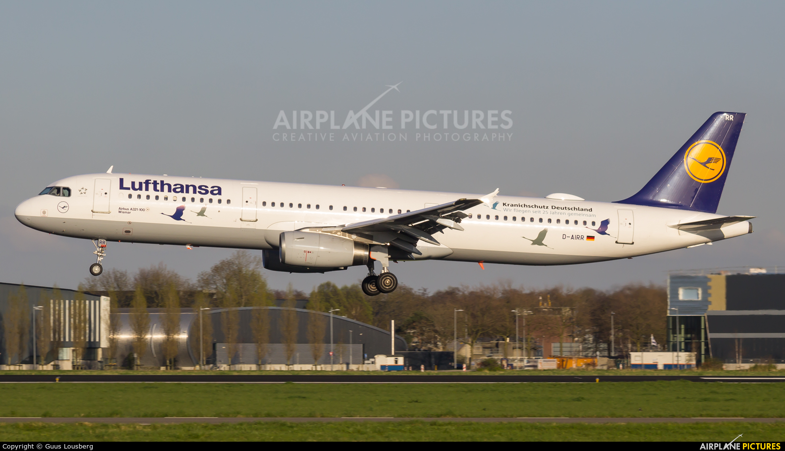 Lufthansa D-AIRR aircraft at Amsterdam - Schiphol
