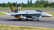 J-5011 - Switzerland - Air Force McDonnell Douglas F/A-18C Hornet aircraft