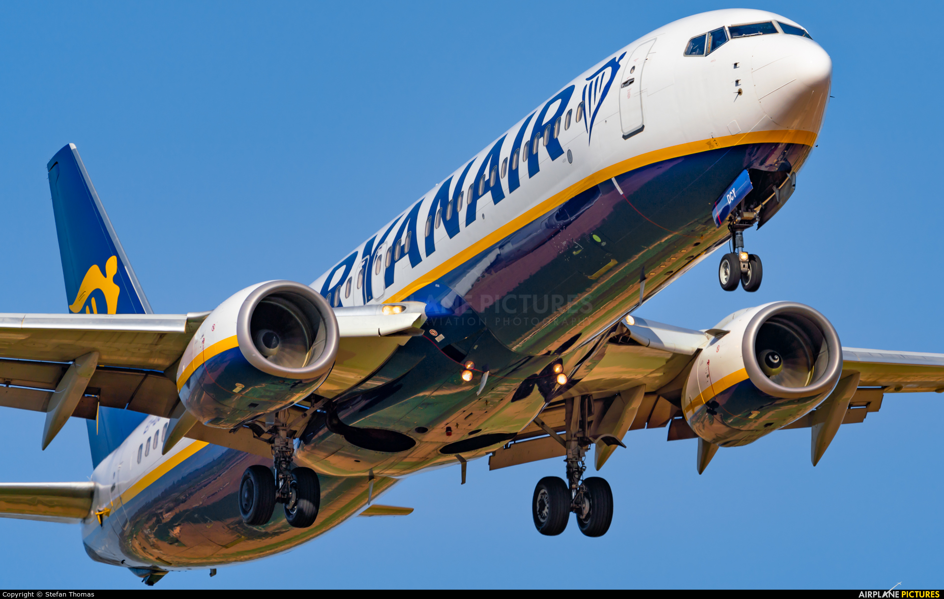 Ryanair EI-DCY aircraft at Palma de Mallorca