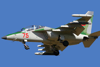 75 - Belarus - Air Force Yakovlev Yak-130