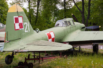 21 - Poland - Air Force Ilyushin Il-2 Sturmovik