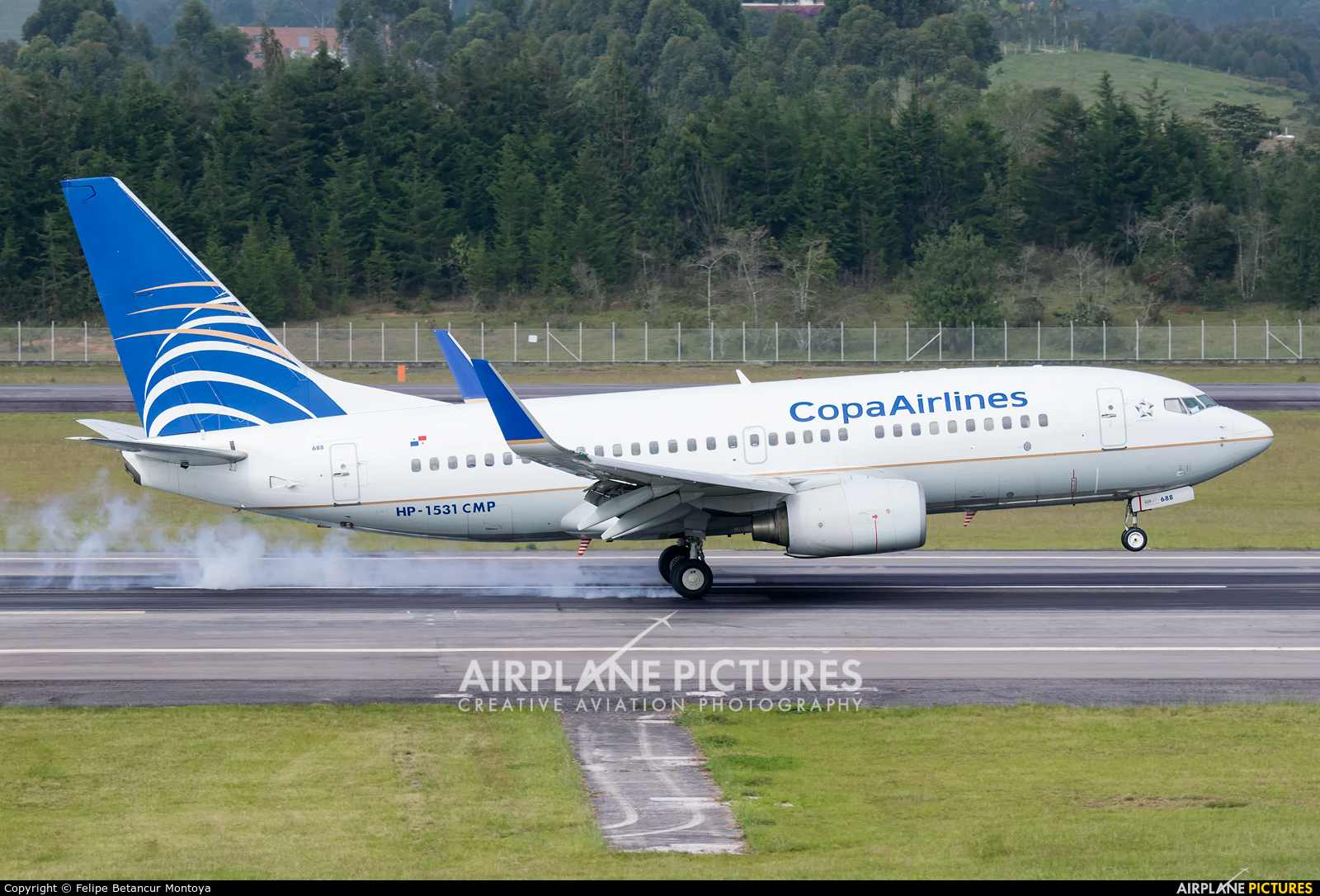 Copa Airlines HP-1531CMP aircraft at Medellin - Jose Maria Cordova Intl
