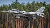 Poland - Air Force 4071 image