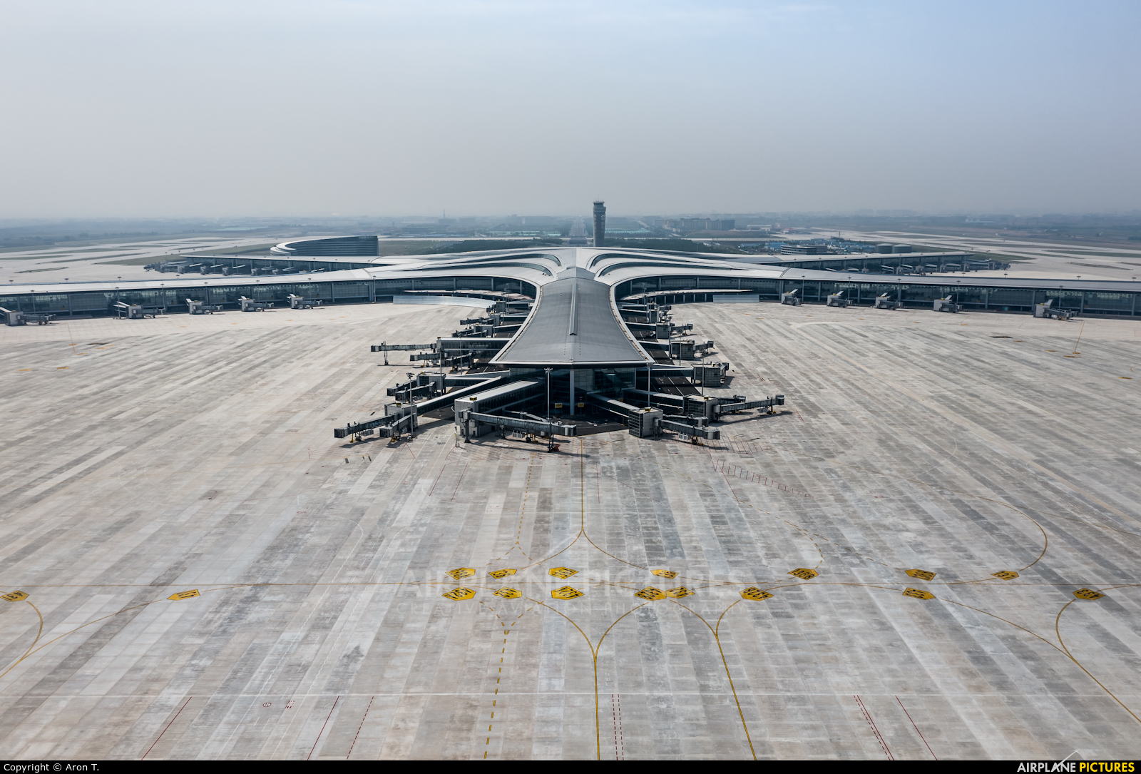 - Airport Overview - aircraft at Qingdao Jiaodong International