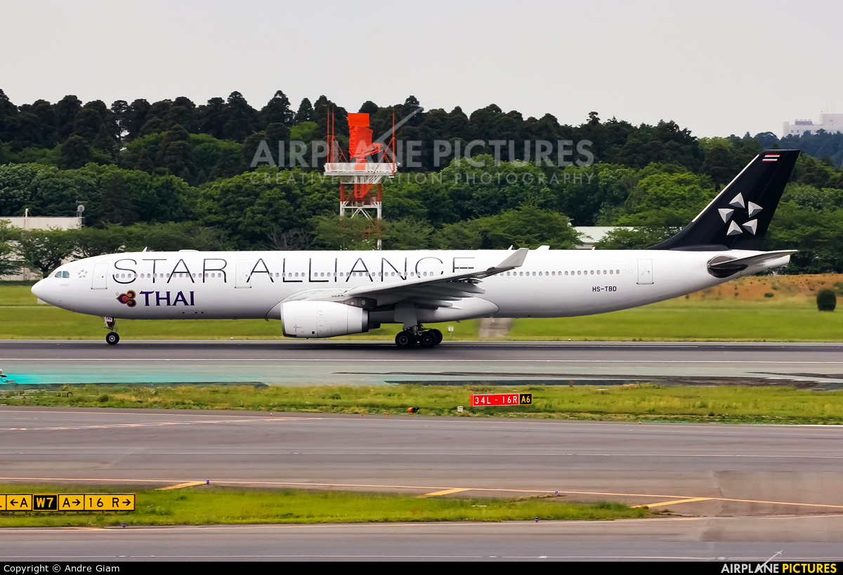 Thai Airways HS-TBD aircraft at Tokyo - Narita Intl
