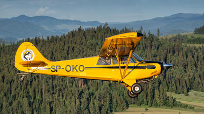 SP-OKO - Aeroklub Nowy Targ Aviat A-1 Husky