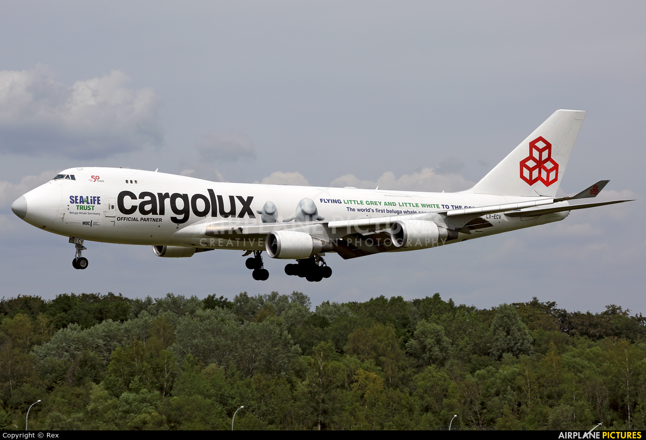 Cargolux LX-ECV aircraft at Luxembourg - Findel