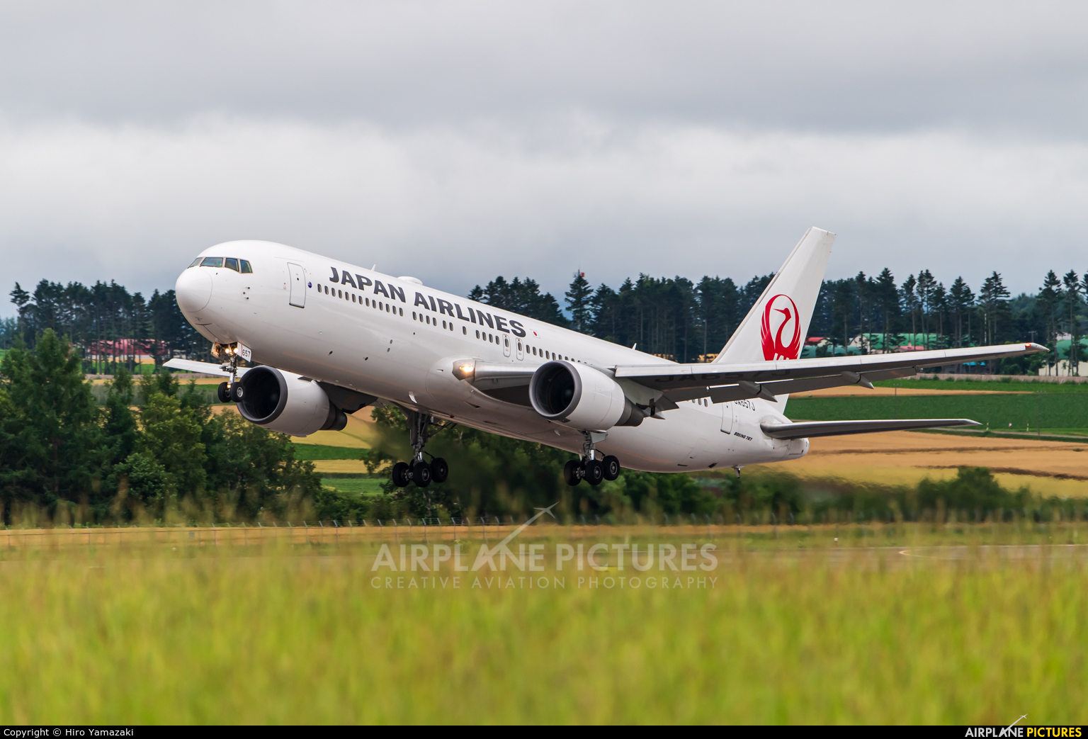 JAL - Japan Airlines JA657J aircraft at Memanbetsu