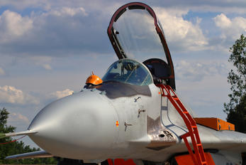 83 - Poland - Air Force Mikoyan-Gurevich MiG-29A