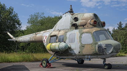 0602 - Poland - Air Force Mil Mi-2
