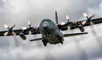 130333 - Canada - Air Force Lockheed C-130H Hercules aircraft