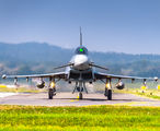30+80 - Germany - Air Force Eurofighter Typhoon S aircraft
