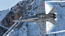 - - Switzerland - Air Force McDonnell Douglas F/A-18C Hornet aircraft