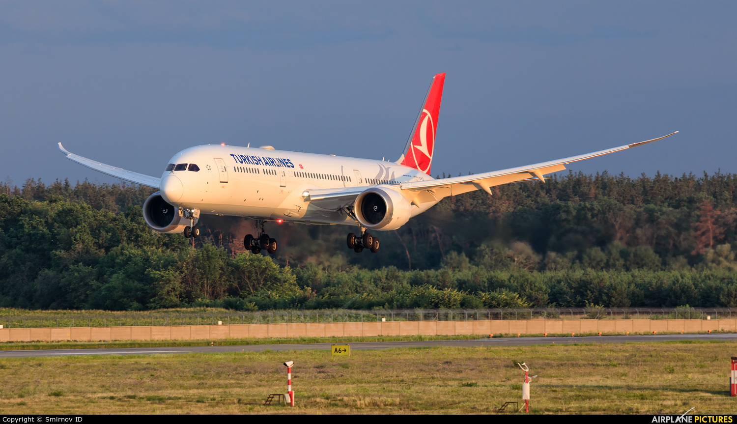 Turkish Airlines TC-LLD aircraft at Kyiv - Borispol
