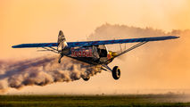 SP-YHB - Private Cub Crafters Carbon Cub SS aircraft