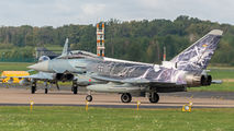 30+96 - Germany - Air Force Eurofighter Typhoon S aircraft