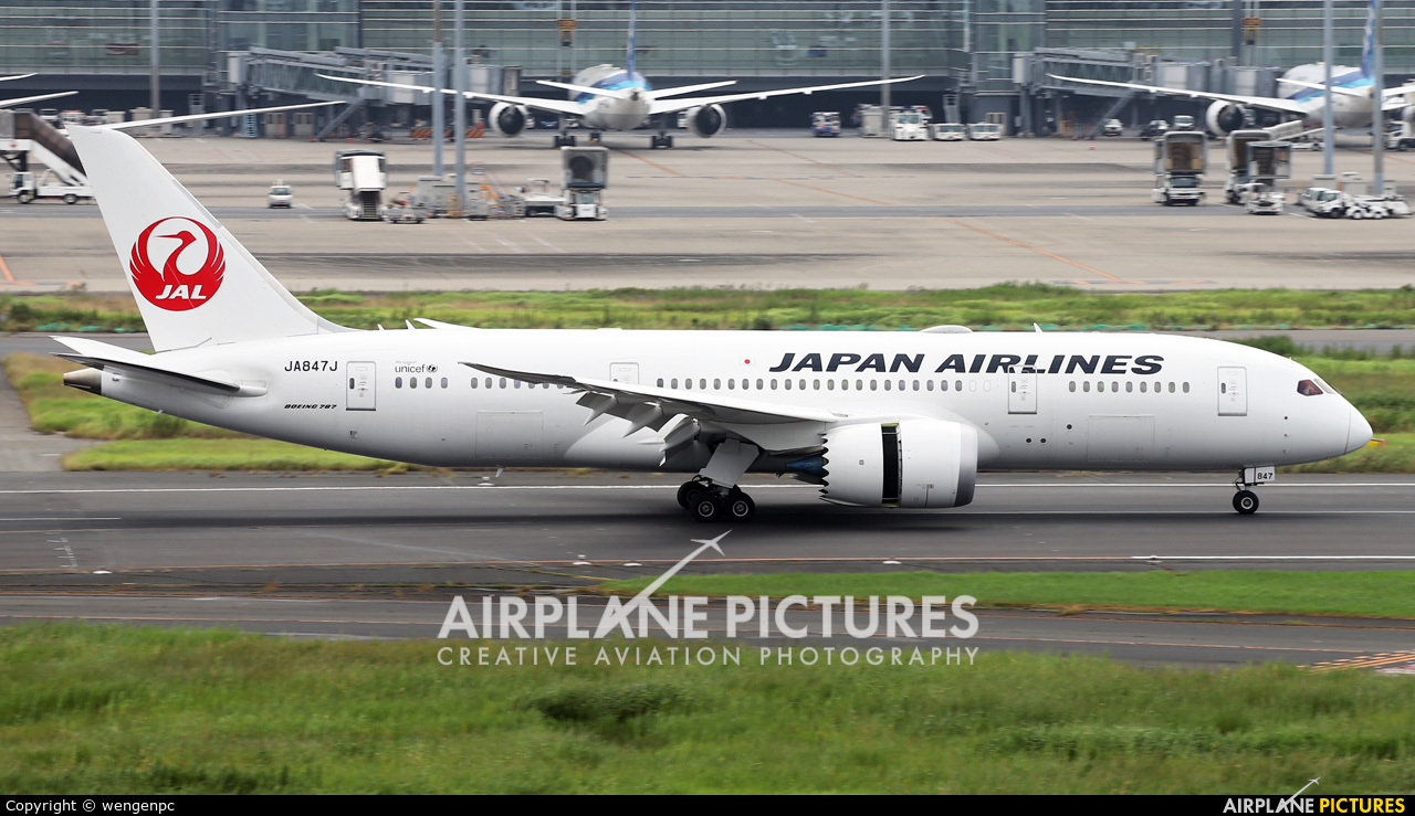 JAL - Japan Airlines JA847J aircraft at Tokyo - Haneda Intl