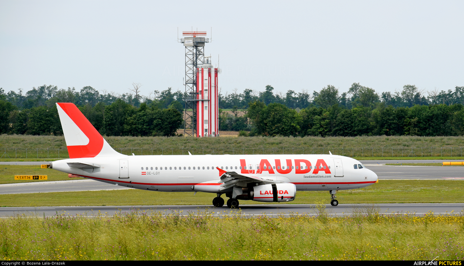 LaudaMotion OE-LOY aircraft at Vienna - Schwechat