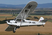 OM-ABC - Private Piper J3 Cub aircraft