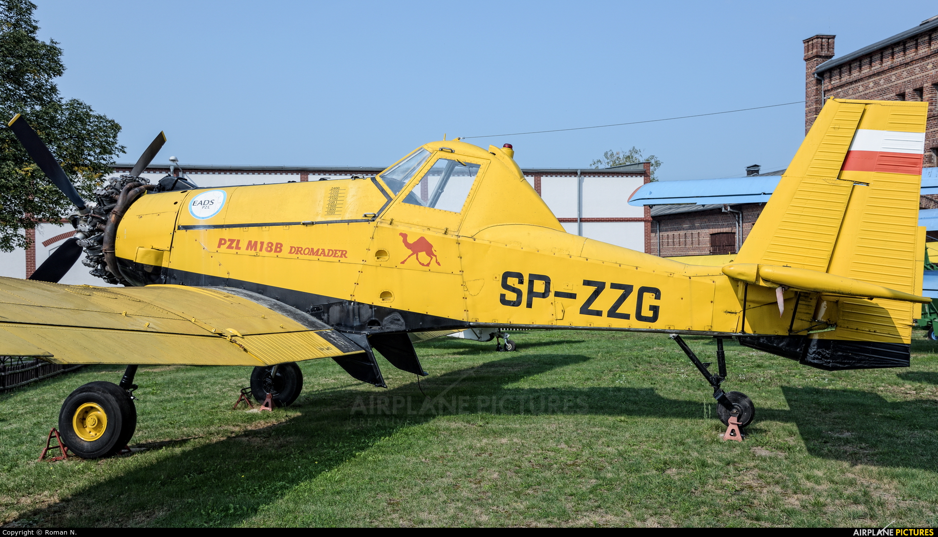 EADS - Agroaviation Services SP-ZZG aircraft at Szreniawa, National Museum of Agriculture and Agricultural