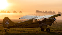 SP-OKO - Aeroklub Nowy Targ Aviat A-1 Husky aircraft