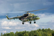 Russia - Aerospace Forces RF-04526 image