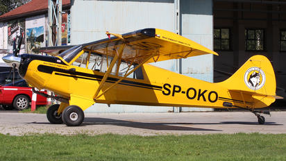 SP-OKO - Private Aviat A-1 Husky