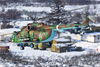 67 - Russia - Ministry of Internal Affairs Mil Mi-8MT