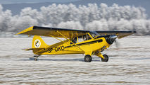 SP-OKO - Aeroklub Nowy Targ Aviat A-1 Husky aircraft