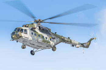 9813 - Czech - Air Force Mil Mi-171