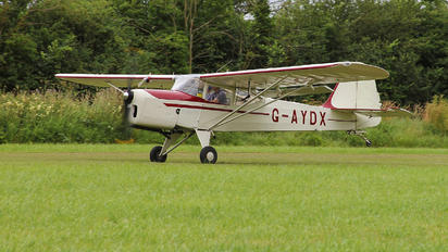 G-AYDX - Private Beagle A61 Terrier