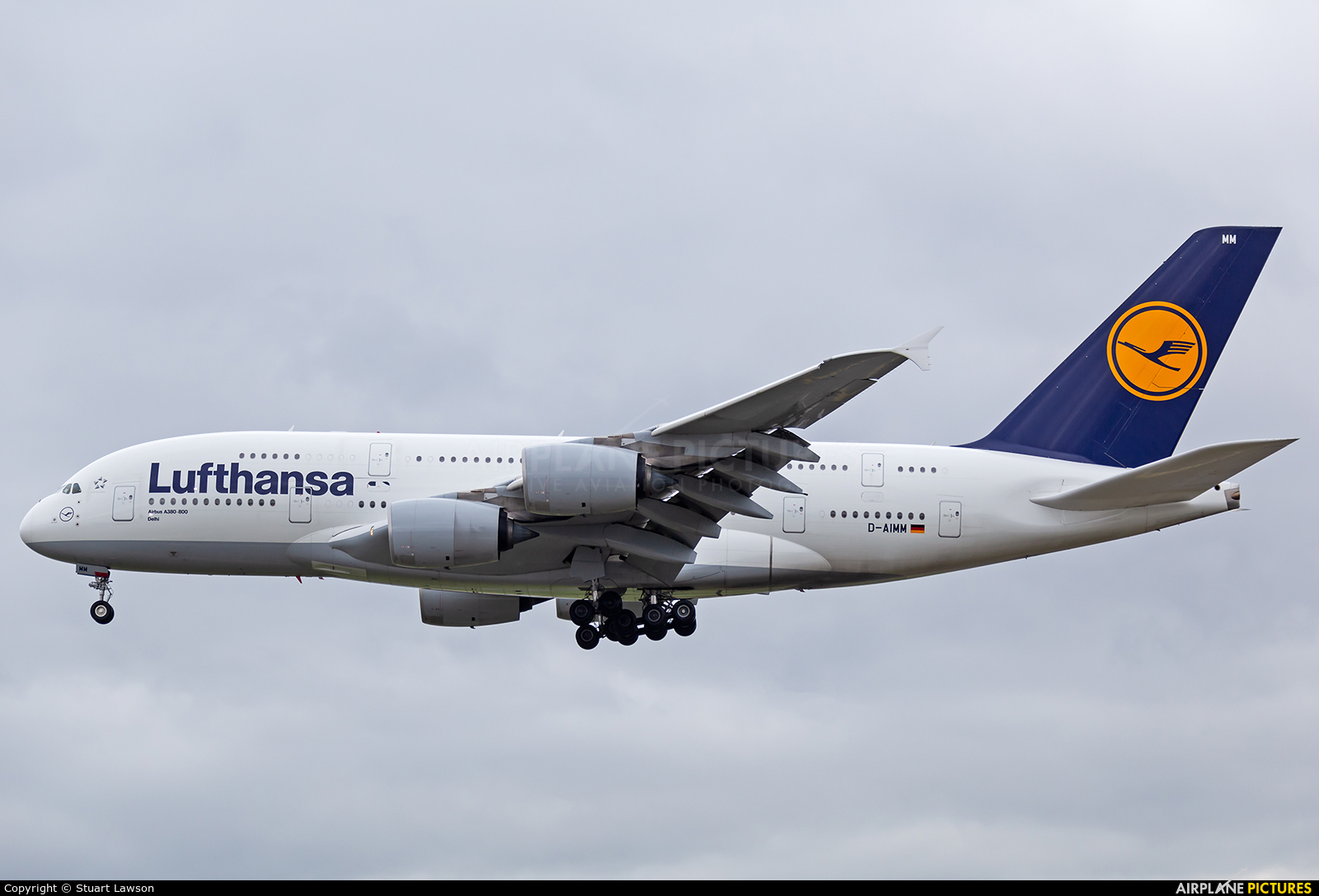 Lufthansa D-AIMM aircraft at Frankfurt