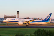 JA804A - ANA - All Nippon Airways Boeing 787-8 Dreamliner aircraft