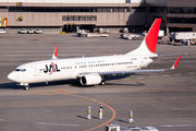 JA305J - JAL - Japan Airlines Boeing 737-800 aircraft