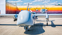 - - France - Air Force EADS Harfang aircraft